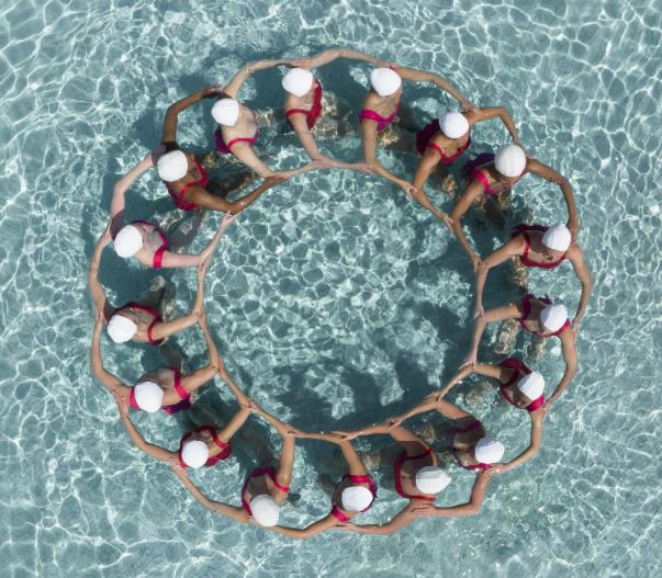 AQUALILLIES X BRAD WALLS